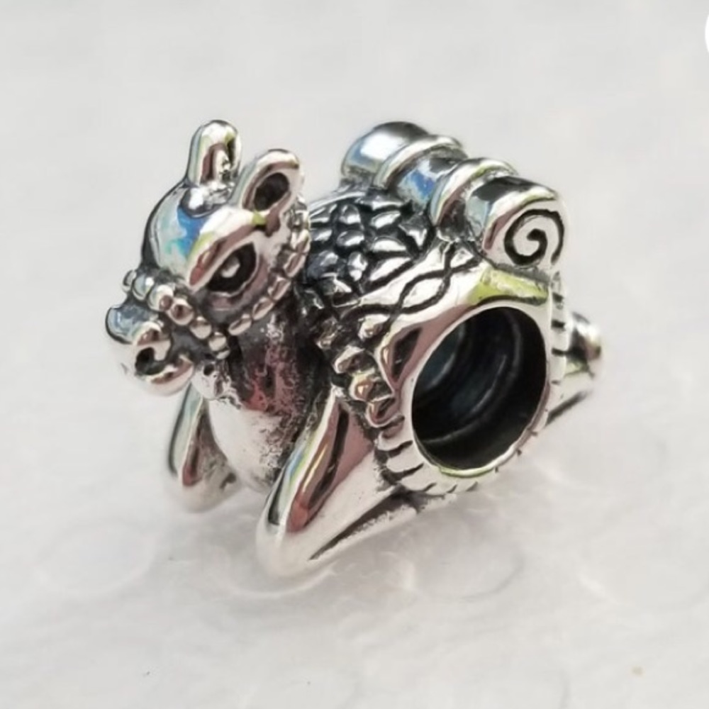 Camel charm